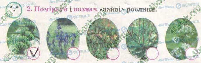 ГДЗ Природознавство 3 клас сторінка Стр44 Впр2